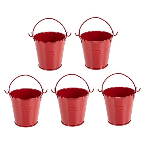 CAXUSD Kleine Blumentöpfe 5st Mini Blecheimer Behälter Für Blumentöpfe Französisches Landhausdekor Metalleimer Gartenbedarf Blumeneimer Aus Metall Mini-vase Rot Fleischig Eisen Blumenbeet CAXUSD Kleine Blumentöpfe 5st Mini Blecheimer Behälter Für Blumentöpfe Französisches Landhausdekor Metalleimer Gartenbedarf Blumeneimer Aus Metall Mini-vase Rot Fleischig Eisen Blumenbeet von CAXUSD