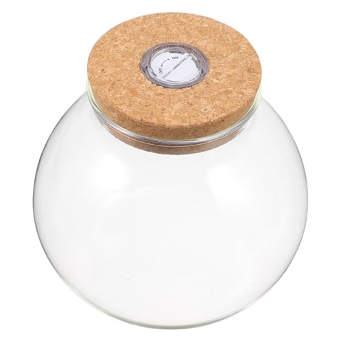 CAXUSD Mikrolandschaft Ökologische Flasche Klare Blumentöpfe Desktop Glasbehälter Hydroponischer Behälter Glas Desktop Glaspflanzer Hydroponischer Blumentopf Hochborosilikatglas CAXUSD Mikrolandschaft Ökologische Flasche Klare Blumentöpfe Desktop Glasbehälter Hydroponischer Behälter Glas Desktop Glaspflanzer Hydroponischer Blumentopf Hochborosilikatglas von CAXUSD
