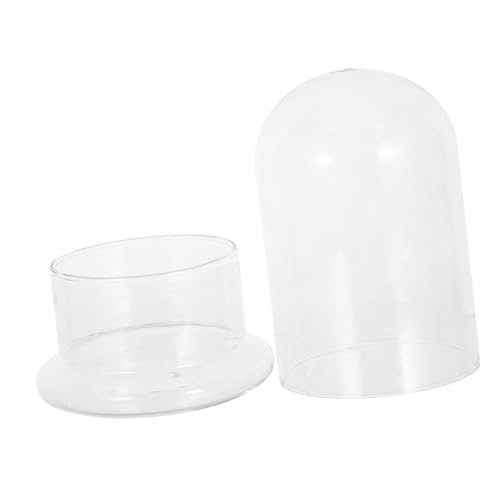 CAXUSD Transparentes Glas-Terrarium Höhe DIY Pflanzenvermehrungsflasche für Hydroponische Anzucht Dekorative Glaskuppel für Indoor-Garten und Mini-landschaften CAXUSD Transparentes Glas-Terrarium Höhe DIY Pflanzenvermehrungsflasche für Hydroponische Anzucht Dekorative Glaskuppel für Indoor-Garten und Mini-landschaften von CAXUSD