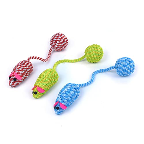 CAZSTYK Buntes geflochtenes Seil, Quietschspielzeug, langer Schwanz, Ball, Mäuse für Welpen, Kätzchen, Quietschgeräusch, 3 Stück CAZSTYK Buntes geflochtenes Seil, Quietschspielzeug, langer Schwanz, Ball, Mäuse für Welpen, Kätzchen, Quietschgeräusch, 3 Stück von CAZSTYK
