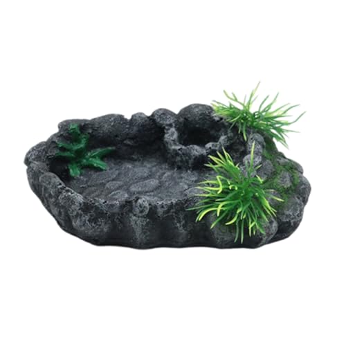CAZSTYK Reptilien Futternapf Terrarien Schale Harze Futterspender Geschirr Amphibien Futternapf für sicheres Trinken und Essen von Futterschalen von CAZSTYK