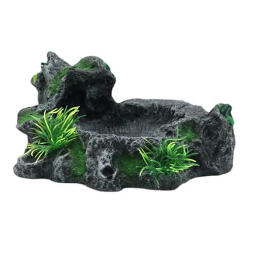 CAZSTYK Reptilien Futternapf Terrarien Schale Harze Futterspender Geschirr Amphibien Futternapf für sicheres Trinken und Essen von Futterschalen von CAZSTYK