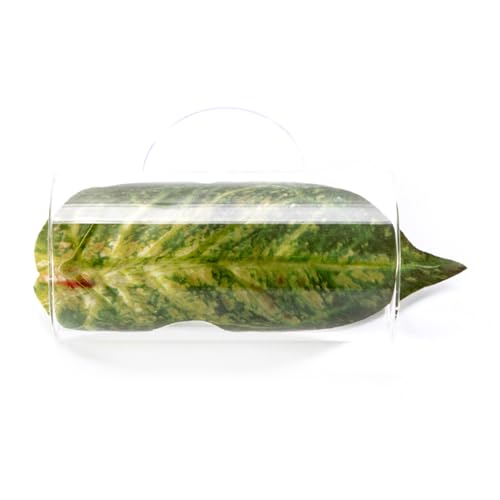 CAZSTYK Safe Fish Habitats Fish Breeding Versatile Tunnel Aquarien Decoration For Hobbyists And Aquariums Operators Bettas Laiching Success von CAZSTYK