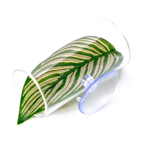 CAZSTYK Safe Fish Habitats Fish Breeding Versatile Tunnel Aquarien Decoration For Hobbyists And Aquariums Operators Bettas Laiching Success von CAZSTYK