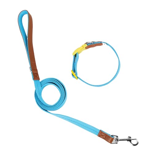 Hundehalsband-Leine für Training, Spaziergänge, für große und kleine Hunde, robustes Seil, strapazierfähig Hundehalsband-Leine für Training, Spaziergänge, für große und kleine Hunde, robustes Seil, strapazierfähig von CAZSTYK