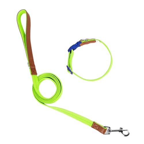 Hundehalsband-Leine für Training, Spaziergänge, für große und kleine Hunde, robustes Seil, strapazierfähig Hundehalsband-Leine für Training, Spaziergänge, für große und kleine Hunde, robustes Seil, strapazierfähig von CAZSTYK