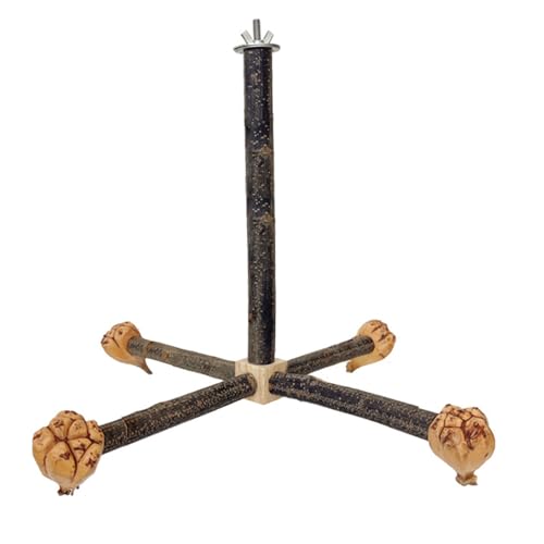 Kreativer Vogel-Schleifstangenständer für Papageien, Kratzer, Käfig, Spielzeug, Kratzbaum Kreativer Vogel-Schleifstangenständer für Papageien, Kratzer, Käfig, Spielzeug, Kratzbaum von CAZSTYK