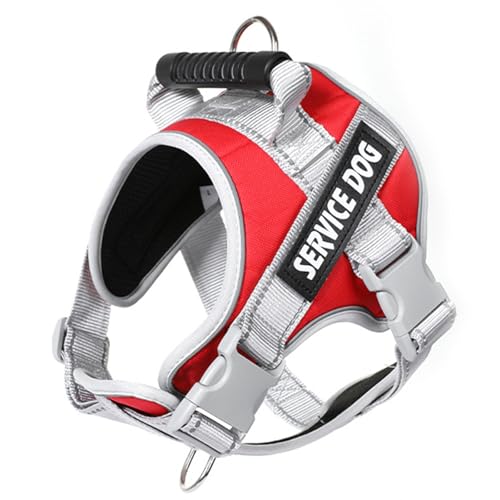 Reflektierende Hundeweste für kleine Hunde, verstellbare Leine mit Namensgeschirr und Leine, reflektierendes Geschirr von CAZSTYK