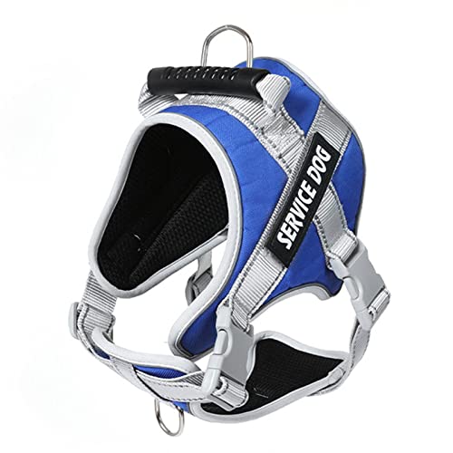 Reflektierende Hundeweste für kleine Hunde, verstellbare Leine mit Namensgeschirr und Leine, reflektierendes Geschirr Reflektierende Hundeweste für kleine Hunde, verstellbare Leine mit Namensgeschirr und Leine, reflektierendes Geschirr von CAZSTYK