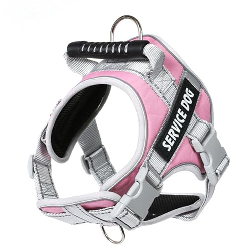 Reflektierende Hundeweste für kleine Hunde, verstellbare Leine mit Namensgeschirr und Leine, reflektierendes Geschirr Reflektierende Hundeweste für kleine Hunde, verstellbare Leine mit Namensgeschirr und Leine, reflektierendes Geschirr von CAZSTYK