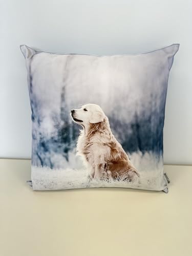 CB Home & Style Outdoor Garten Kissen Wasserabweisend 45 x 45 cm Weihnachten Winter (Hund) von CB Home & Style