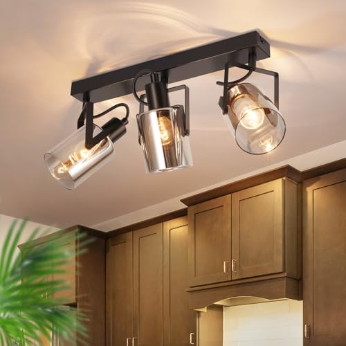CBJKTX Deckenstrahler Schwarz Deckenspots 3 Flammig - 350° Schwenkbar Deckenlampe E14 Spots Glas Deckenleuchte Strahler Rauchgrau Modern küchenlampe für Flur Küche Wohnzimmer（Ohne Lichtquelle） von CBJKTX