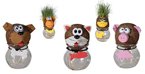 1x Tier Graskopf Figur Gras Kopf aus dem Gras wächst Büro Tisch Fensterdeko 1x Tier Graskopf Figur Gras Kopf aus dem Gras wächst Büro Tisch Fensterdeko von CBK-MS