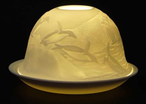 CBK-MS Dome Light Teelicht Antaktis mit Pinguine Windlicht Porzellan Teelichthalter ca. Ø 12 cm Höhe 8,5 cm von CBK-MS