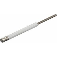 Ionisationssonde von CBM