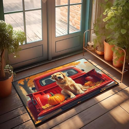 CBRT Einfarbige Willkommensmatte, Motiv: Golden Retriever sitzt im Bett eines roten Pickup-Trucks, Herbstteppich, Herbstteppich, für die Haustür (40 x 60 cm) von CBRT