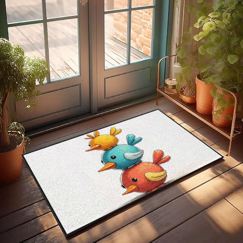 CBRT Einzigartige Fußmatten für den Innenbereich, drei bunte Vögel, übereinander gestapelt, Herbst-Fußmatte, für den Außenbereich, Herrenzimmer-Dekoration (65 x 90 cm) von CBRT