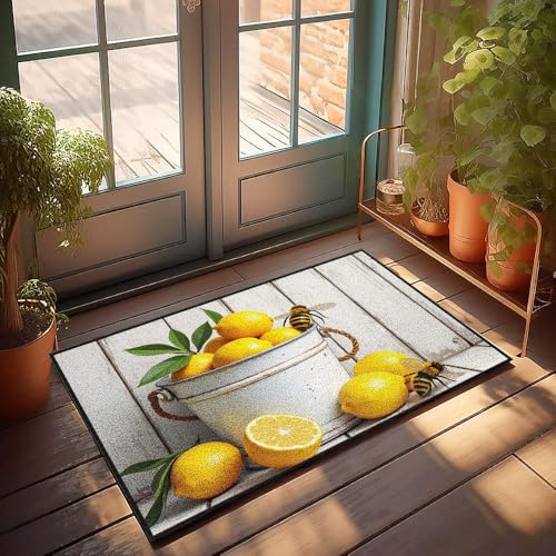 CBRT Fußmatte für Schuhe an der Tür, frische Zitronen in einem rustikalen Eimer mit Bienen, lustige Teppiche für Haustür, Pool-Dekoration (65 x 90 cm) von CBRT