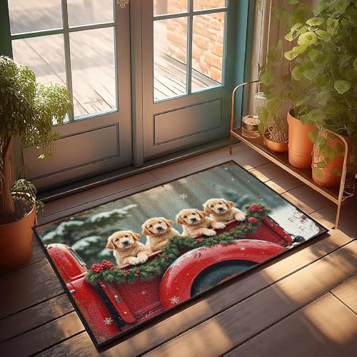CBRT Fußmatte für den Außenbereich, vier Welpen in einem festlichen LKW-Bett-Fußmatte, für drinnen und draußen, 40 x 60 cm von CBRT