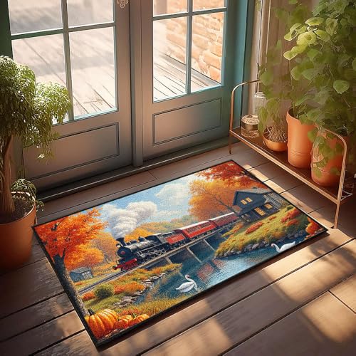 CBRT Fußmatte für die Haustür, Dampfzug, Überquerung der Herbstbrücke mit Schwänen im Fluss, Fußmatte, für den Außenbereich, Herrenzimmer-Dekoration (50 x 80 cm) von CBRT