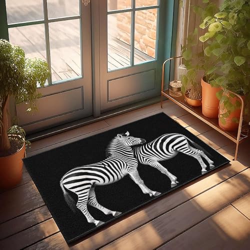 CBRT Stuff For Your Room Fußmatte, zwei Zebras, stehend, nebeneinander, Innenbereich, Herbstdekoration, Willkommens-Matten für Haustür (65 x 90 cm) von CBRT