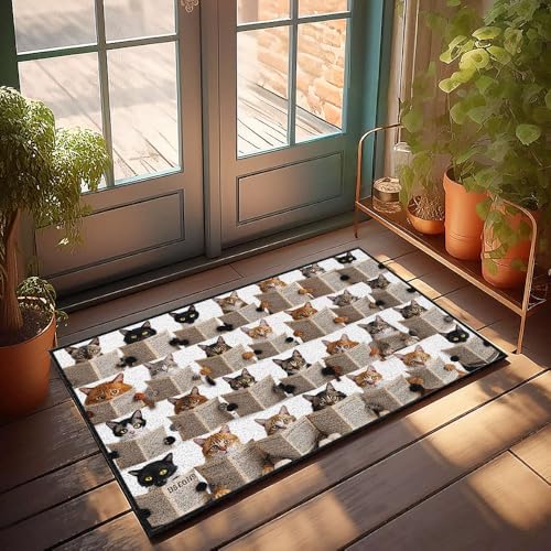 Fußmatte für Jungenzimmer, Teenager, Katzen, die gemeinsam Zeitungen lesen, lustige Badezimmerdekoration, Winter-Fußmatte, Outdoor (65 x 90 cm) von CBRT