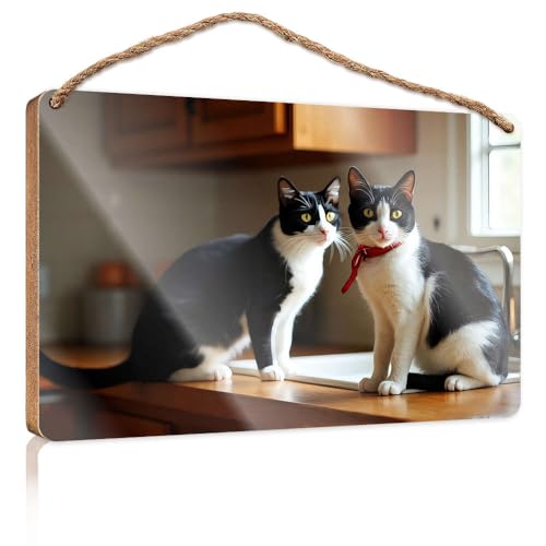 Türschild für die Haustür, zwei schwarz-weiße Katzen, die auf einer Küchentheke sitzen, lustiges Badezimmer-Dekor, Holz zum Basteln, Schilder (23 x 35 cm) von CBRT
