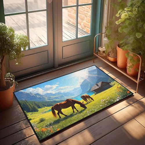 Veranda-Teppich, Outdoor-Pferde grasen auf einer Wiese mit Bergen und einer Hütte, Fußmatte, Badezimmerteppich-Set, lustige Outdoor-Dekoration (40 x 60 cm) von CBRT