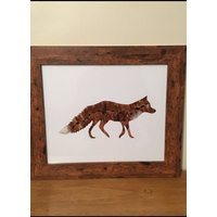 Fasan Feder Fuchs Bild | 30, 5 X 25 10 Inch Fasan Feder Fuchs Bild | 30, 5 X 25 10 Inch von CCBYVICKI