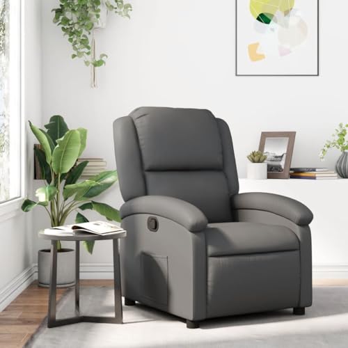 Lazy Accent Chair, kleine Liegestühle for kleine Räume, stabile Entspannung for Fernsehzimmer, Komfort, gemütliche Sitzgelegenheiten im Schlafzimmer, bequeme Sitzerlebnismöbel for Heimkinos ( Color : von CCCINER