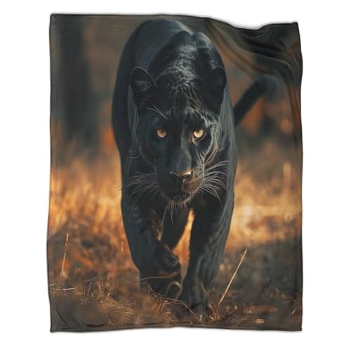 Leopard Couchdecke 3D Druck Schwarze Panther Fleecedecke Sofadecke Wohndecke Bett Decken Kuscheldecke Tagesdecke Weichen Flauschig Flauschig Warm for Erwachsene Kinder 40x50inch(100x130cm) von CCIZFMQ