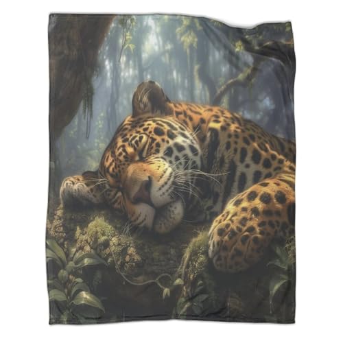 Leopard Couchdecke Wohndecke 3D Druck Wald Sleep Sofadecke Fleecedecke Weichen Flauschig Kuscheldecke Flauschig Warm Bett Decken Tagesdecke for Erwachsene Kinder 70x80inch(180x200cm) von CCIZFMQ