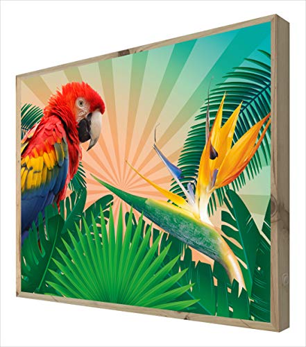 CCRETROILUMINADOS Papagei Bild mit Holzrahmen mit Hintergrundbeleuchtung, Acryl Holz, bunt, 80l x 60an cm von CCRETROILUMINADOS
