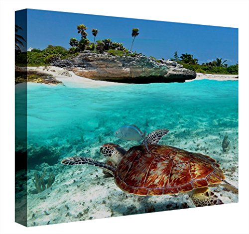 ccretroiluminados Playa Del Carmen kariert, Acryl, Mehrfarbig, 60 x 60 x 5.3 cm von CCRETROILUMINADOS