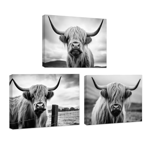 CCWACPP Hochlandkuh Wandbilder 3 teilig Schwarz Weiß Hochlandrinder Gemälde Bauernhaus Tier Leinwanddruck Western Heimdekoration gerahmt (28x35cmx3) von CCWACPP