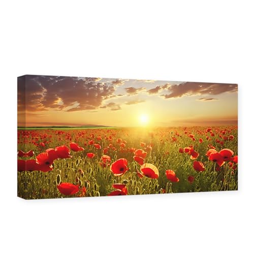 CCWACPP Mohnblumen-Leinwandkunst, rote Mohnblumen-Blumenbilder, Wanddekoration, Blumenfeld, Sonnenuntergang, Gemälde, Druck, Naturlandschaft, Dekor, Rahmen von CCWACPP