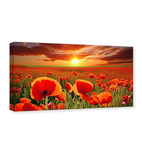 CCWACPP Rote Mohnblumen-Leinwandkunst, Mohnblumen, Blumenbild, Wanddekoration, Blumenfeld, Sonnenuntergang, Gemäldedruck, Schlafzimmerdekoration, Rahmen von CCWACPP