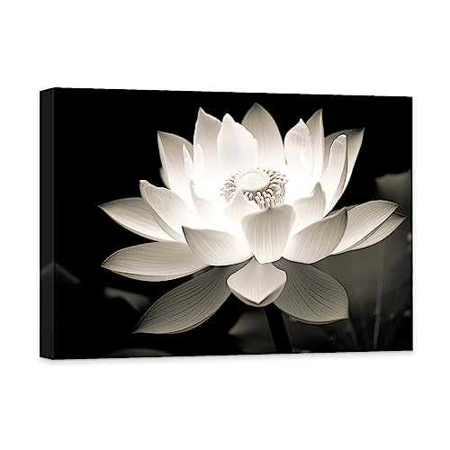 CCWACPP Zen Wanddekoration weiße Lotusblumen Leinwandgemälde schwarz weißes Blumenbild Druck Spa Yoga Meditation spirituelle Raumdekoration 40x60 cm CCWACPP Zen Wanddekoration weiße Lotusblumen Leinwandgemälde schwarz weißes Blumenbild Druck Spa Yoga Meditation spirituelle Raumdekoration 40x60 cm von CCWACPP