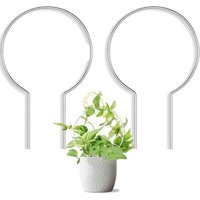 CCYKXA 2er-Pack Acryl-Klettergerüste für Kletterpflanzen und Weinreben CCYKXA 2er-Pack Acryl-Klettergerüste für Kletterpflanzen und Weinreben von CCYKXA