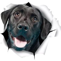 Ccykxa - 2 Pack 3D Labrador Hunde Aufkleber Auto Aufkleber Labrador Retriever Schwarz Aufkleber Fenster Emblem Aufkleber Körper Kühlschrank Wand von CCYKXA