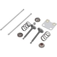 Rasenmäher-Ventilfeder-Set Ventilplatten-Schutzabdeckung für 14791-ZE1-010 für GX160 GX200 5,5 ps 6,5 ps Rasenmäher-Ersatzzubehör - Ccykxa Rasenmäher-Ventilfeder-Set Ventilplatten-Schutzabdeckung für 14791-ZE1-010 für GX160 GX200 5,5 ps 6,5 ps Rasenmäher-Ersatzzubehör - Ccykxa von CCYKXA