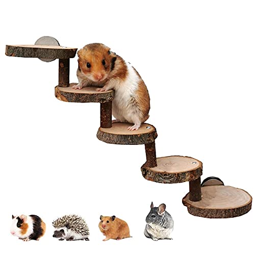 Rkllejs Hamster Spielzeug aus Holz, Hamstertreppe Brücke, Hamsterleiter Naturholz, Hamstertreppe, Hölzerne Hamsterleiter, Suitable for Hamsters, Mice, Gerbils, Rats, Squirrels, Guinea Pigs, Parrots von Rkllejs