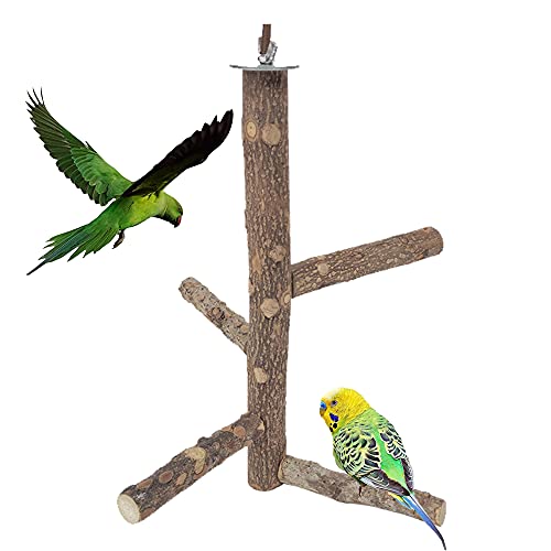 Rkllejs Sitzstangen Vögel, Vögel Sitzstangen aus Naturholz, Bird Cage Perch, Naturholz Vögel Spielzeug, für Vogelkäfige, Papageien, Wellensittich, Kanarienvogel, Nymphensittich von Rkllejs