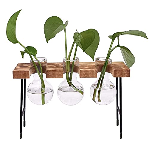 Hydroponic Glasvase, Hydroponische Vase, Desktop Plant Terrarium Glas, Mit Holzregal, für Hydrokulturen, Pflanzen, Luftpflanzen, Terrarium, Heimbüro, Gartendekoration, 3 Blumenvase von Rkllejs