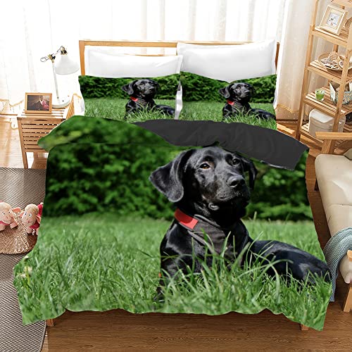 CCZM Bettwäsche 135x200 Schwarzer Labrador Bettbezug mit Reißverschluss Schließung für Kinder Jungs Mädchen Weicher Atmungsaktive Mikrofaser Bettwäsche-Set + 1 Kopfkissenbezug 80x80 cm von CCZM