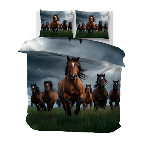 CCZM Bettwäsche 140x200 Pferd - Bettbezug 140x200 Pferd mit 2 Kissenbezüge 70x90 cm, Tier Wendebettwäsche, Microfaser Bettwäsche mit Reißverschluss, J-995 CCZM Bettwäsche 140x200 Pferd - Bettbezug 140x200 Pferd mit 2 Kissenbezüge 70x90 cm, Tier Wendebettwäsche, Microfaser Bettwäsche mit Reißverschluss, J-995 von CCZM