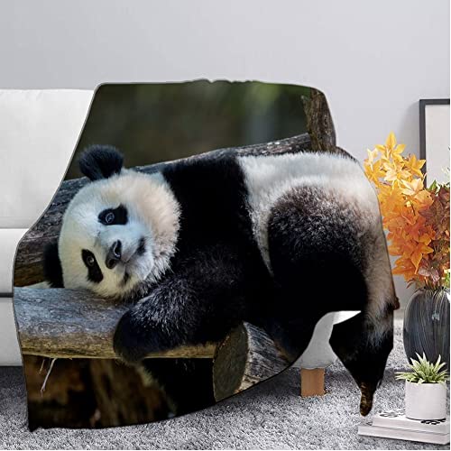 Kuscheldecke Flauschig Grauer Panda Decke Extra Weich Warm Wohndecke Flanell Fleecedecke Falten Beständig Anti-verfärben als Sofadecke Bettüberwurf - 180 x 220 cm von CCZM