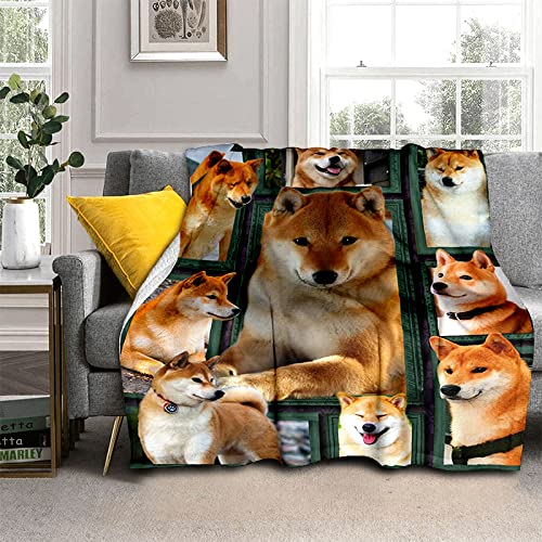 Tagesdecke Gelber Shiba-Inu Fleecedecke für Couch Weich und Warm Mikrofaser Anti-verfärben Wohndecke Flauschig 160 x 200 cm als Sofadecke Couchdecke von CCZM