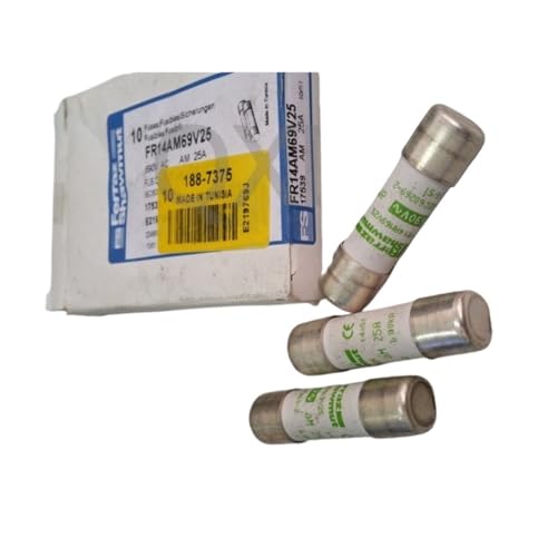 1 Stück Sicherung: FR14AM69V25 E219769 / FR14AM69V10 Z216659 / FR14AM69V12 M217177 / FR14AM69V16 Q217686 / FR14AM69V20 P218720(FR14AM69V20) von CDPDUGMN