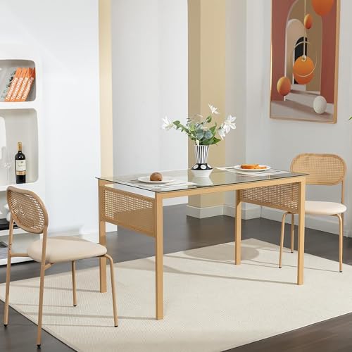 CDQL Rattan Esszimmerstühle 2er Set, Polsterstühle, Moderner Küchenstuhl Rattanstuhl mit Metallbeinen und Unabhängige Rückenlehne, Esstisch Stühle für Esszimmer, Wohnzimmer von CDQL